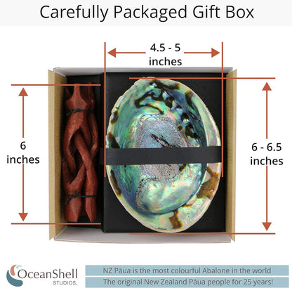 Ocean Shell Studios 5- 6 Inches Premium Natural Abalone (Pāua) Shell for Smudging, Cleansing Home, Meditation, Shell Crafts,Incense Holder, Home Décor, 100% Natural, Sustainable.